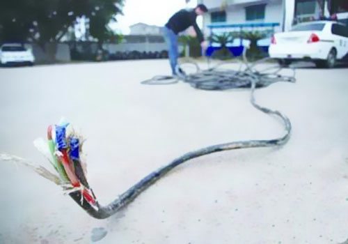 線纜行業(yè)“潛規(guī)則”：‘非標’電線電纜，實質(zhì)上就是假冒偽劣產(chǎn)品！ 